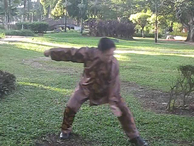 Wu Chuan You Style Taijiquan